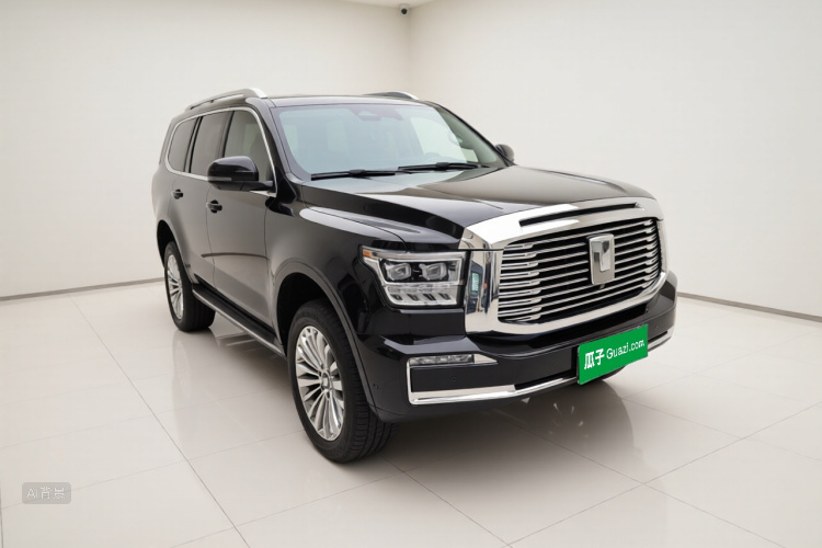 Tank 500 2023 immagine di auto #4