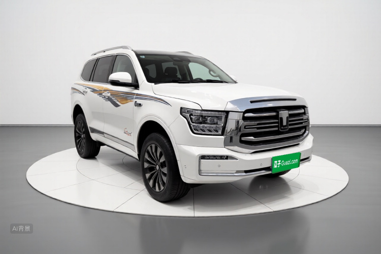 坦克 坦克500 2022 汽车图片 #4