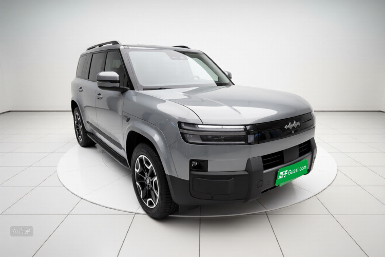 FangChengBao Tiger 7 2025 car image #4