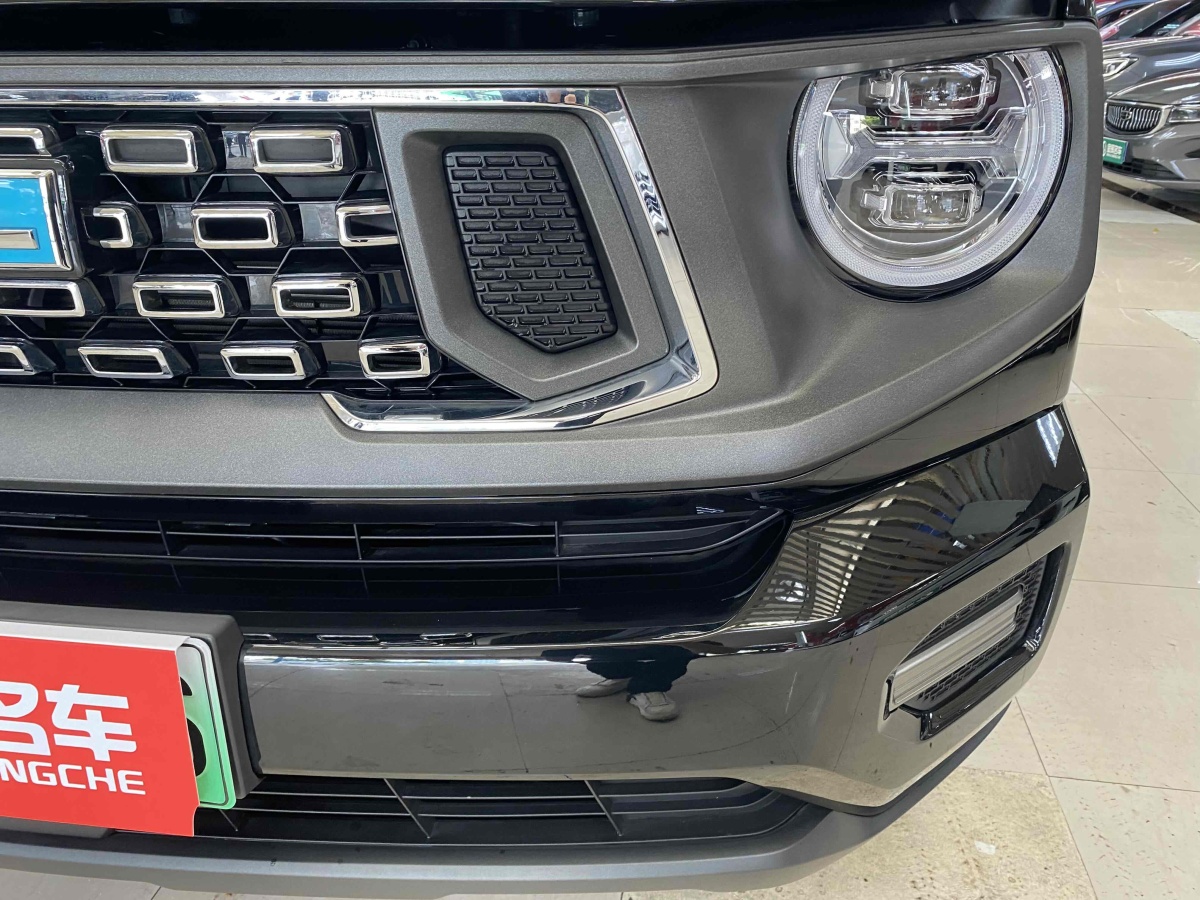 Haval X Dog 2 New Energy 2024 car image #4