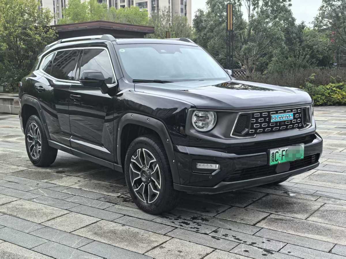 Haval X Dog 2 New Energy 2024 car image #4