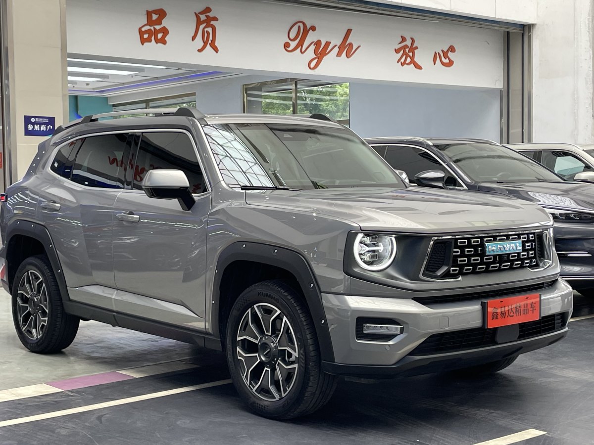 Haval X Dog 2 New Energy 2024 car image #4
