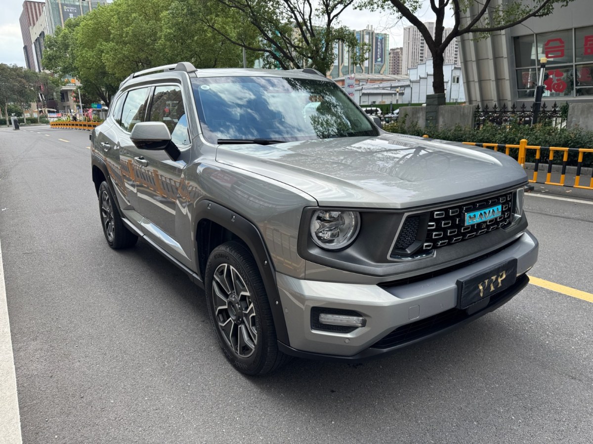 Haval X Dog 2 New Energy 2024 car image #4