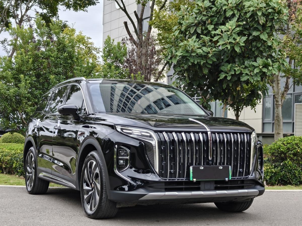 HongQi HS7 PHEV 2024 car image #4
