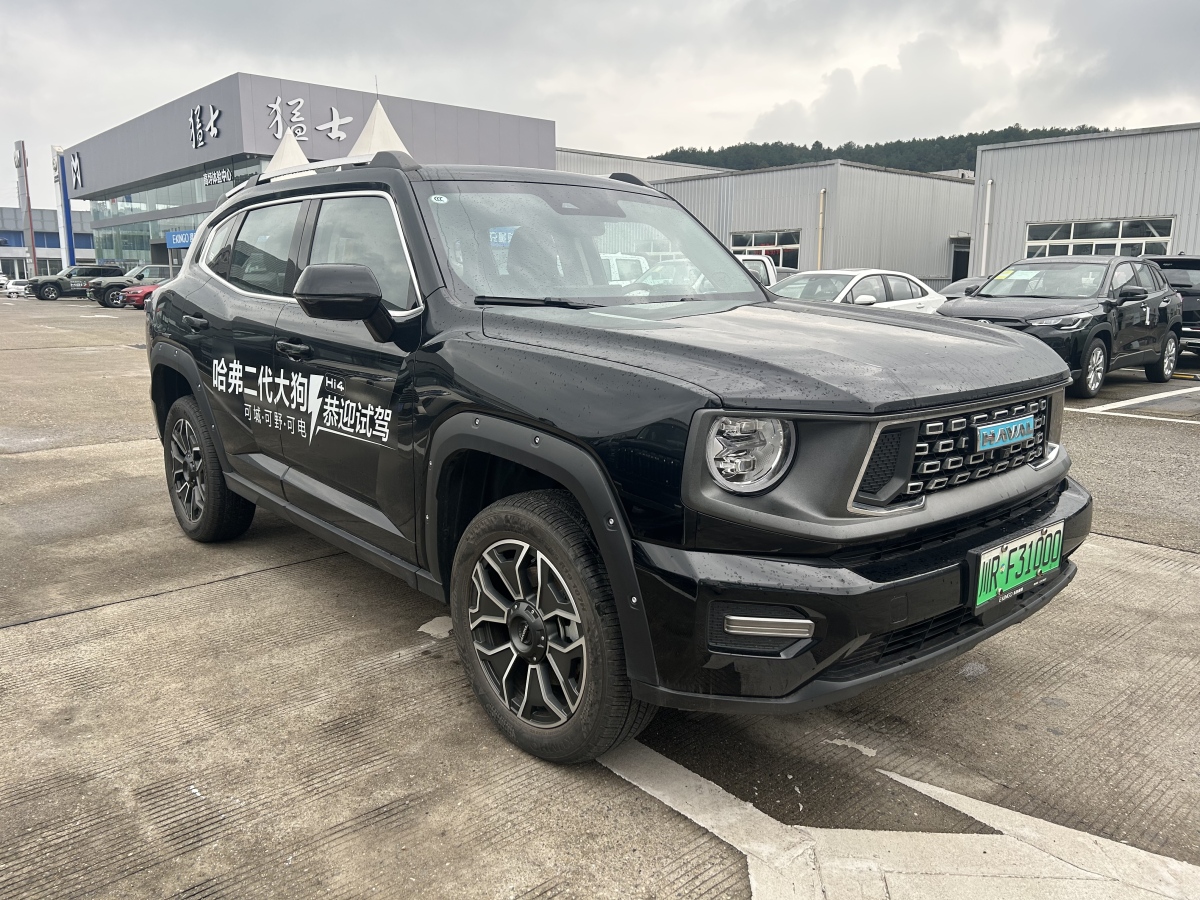 Haval X Dog 2 New Energy 2024 #4 Haval X Dog 2 New Energy 2024 car image #4
