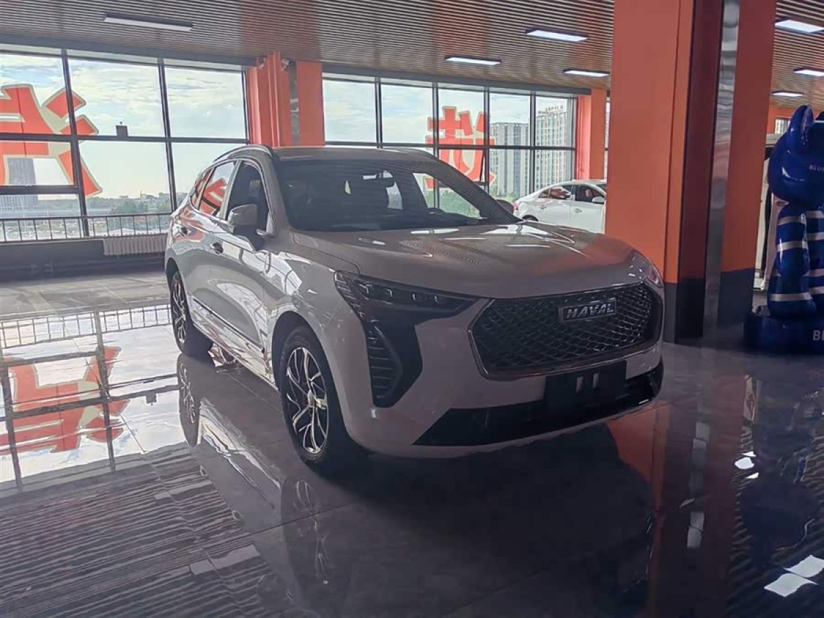 Haval Jolion 2020 car image #4