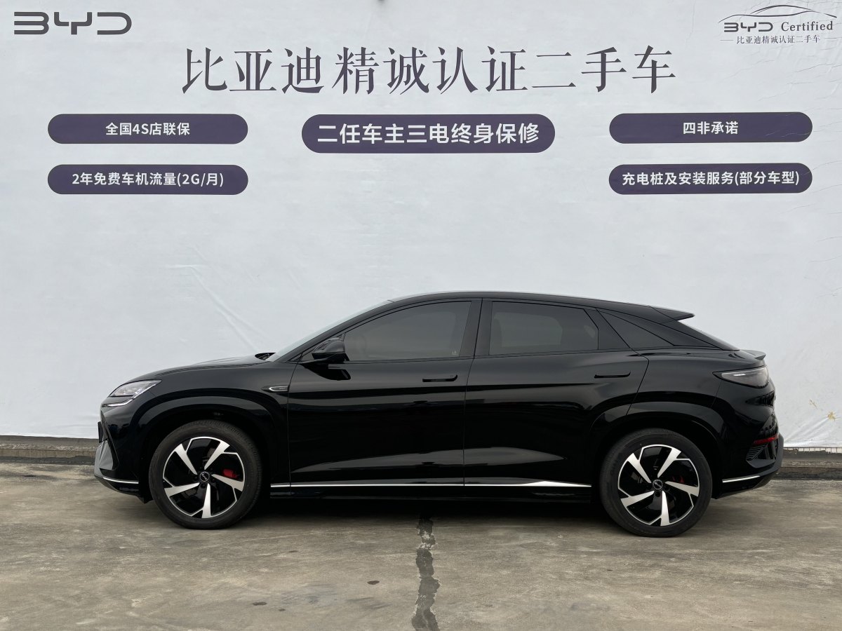 BYD Sea Lion 07 EV 2024 car image #4