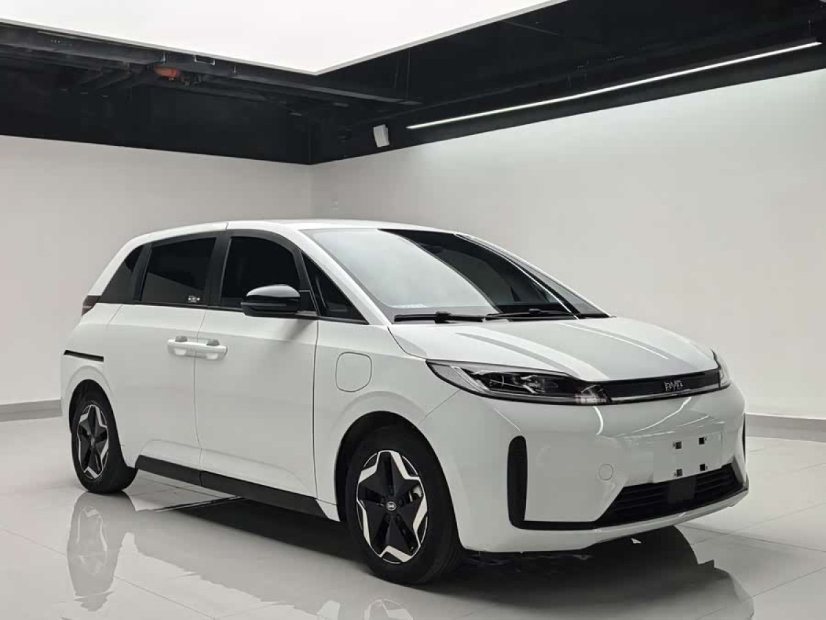 BYD D1 2023 #4 BYD D1 2023 car image #4