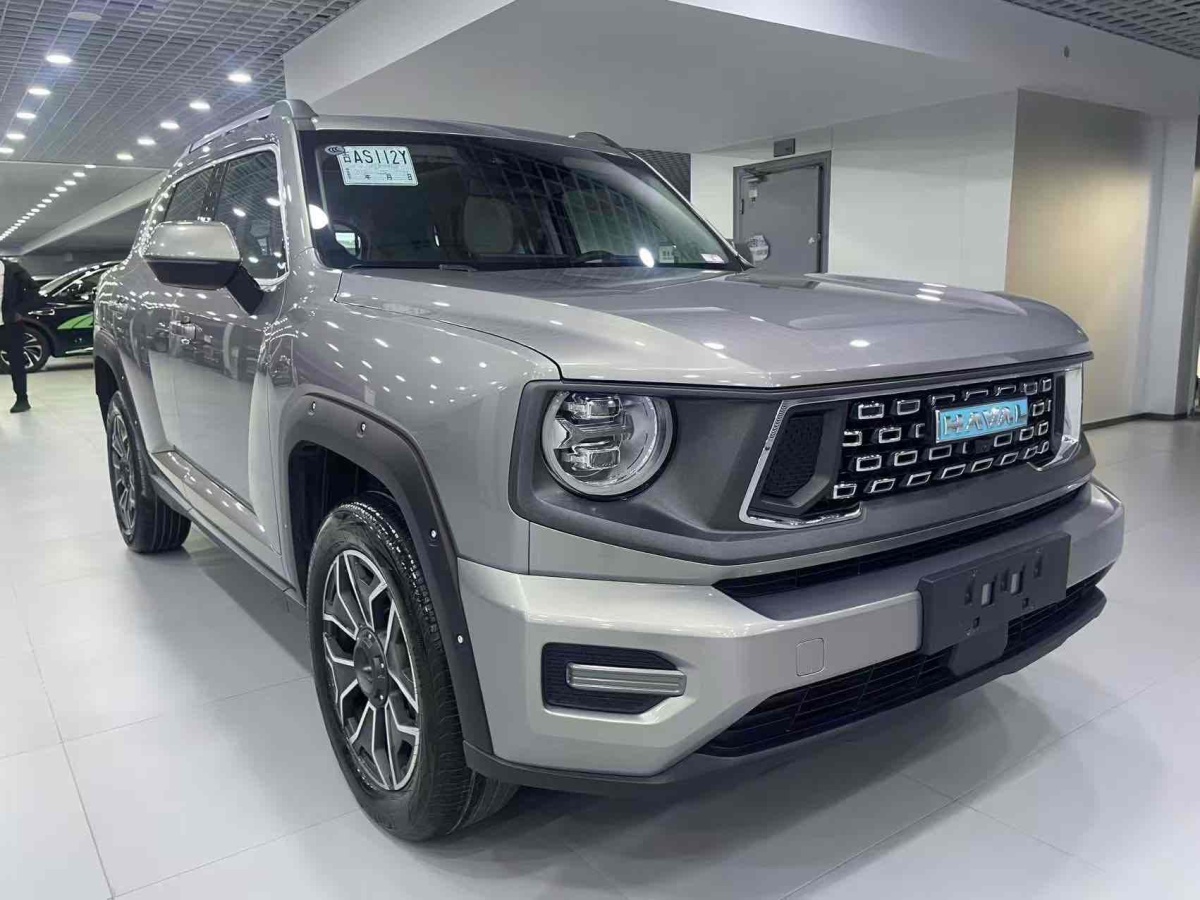 Haval X Dog 2 New Energy 2023 car image #4