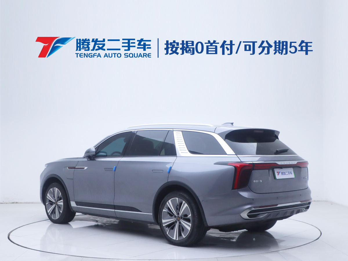 HongQi E-HS9 2023 car image #4