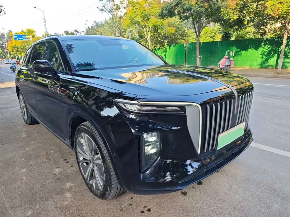 HongQi E-HS9 2022 car image #4