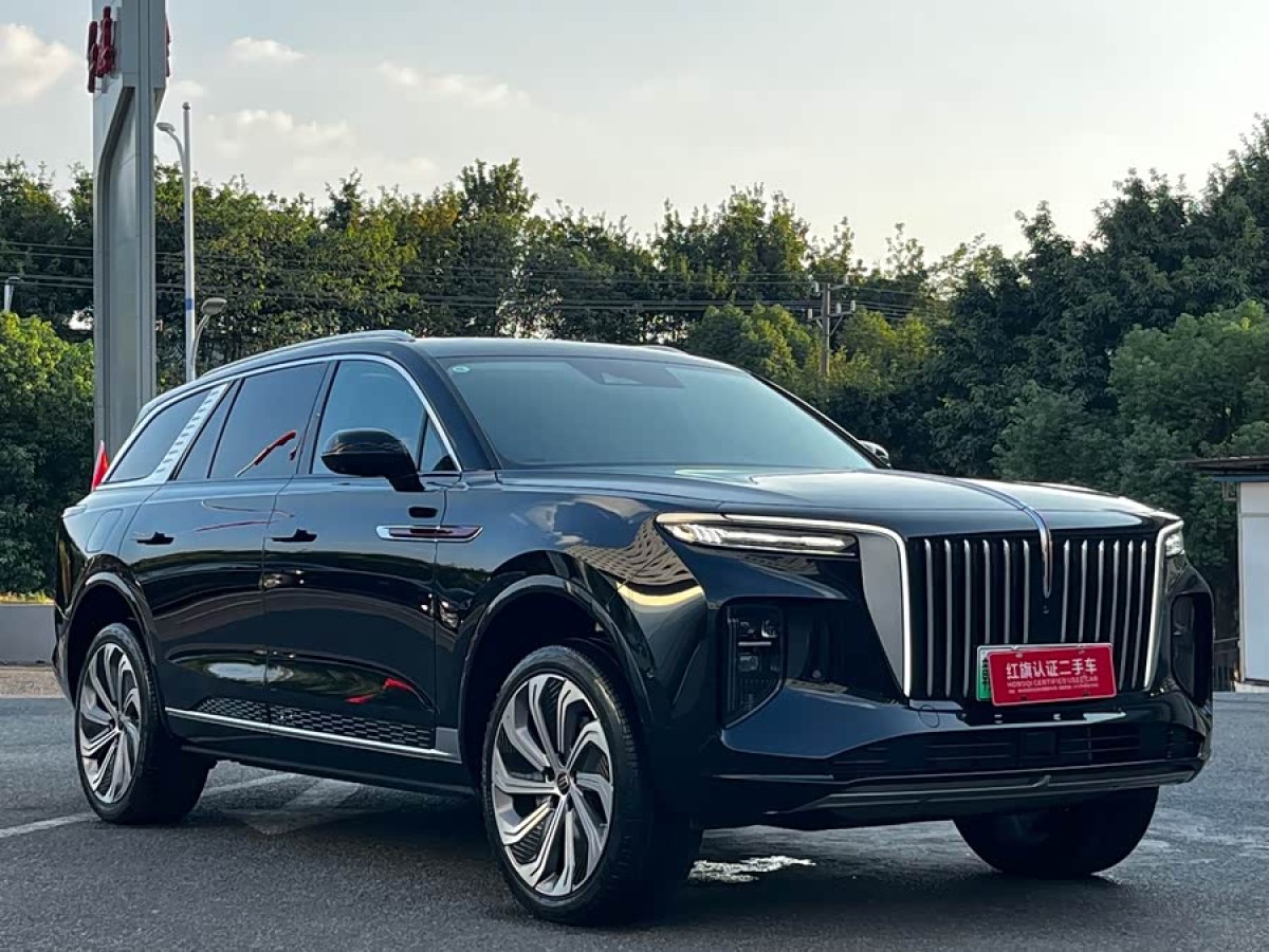 HongQi E-HS9 2025 car image #4