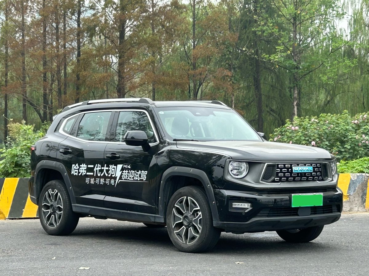 Haval X Dog 2 New Energy 2024 car image #4