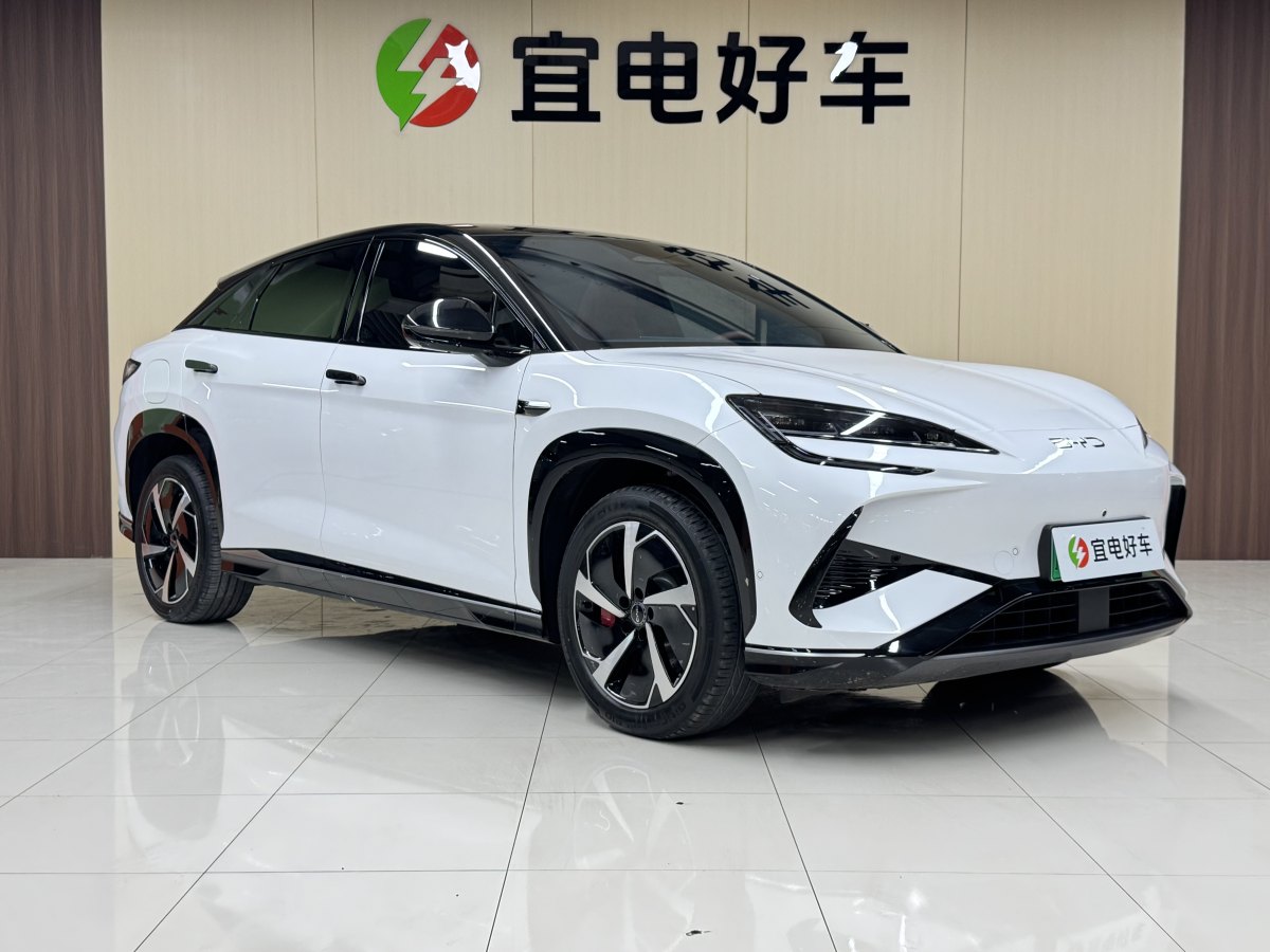 BYD Sea Lion 07 EV 2025 car image #4