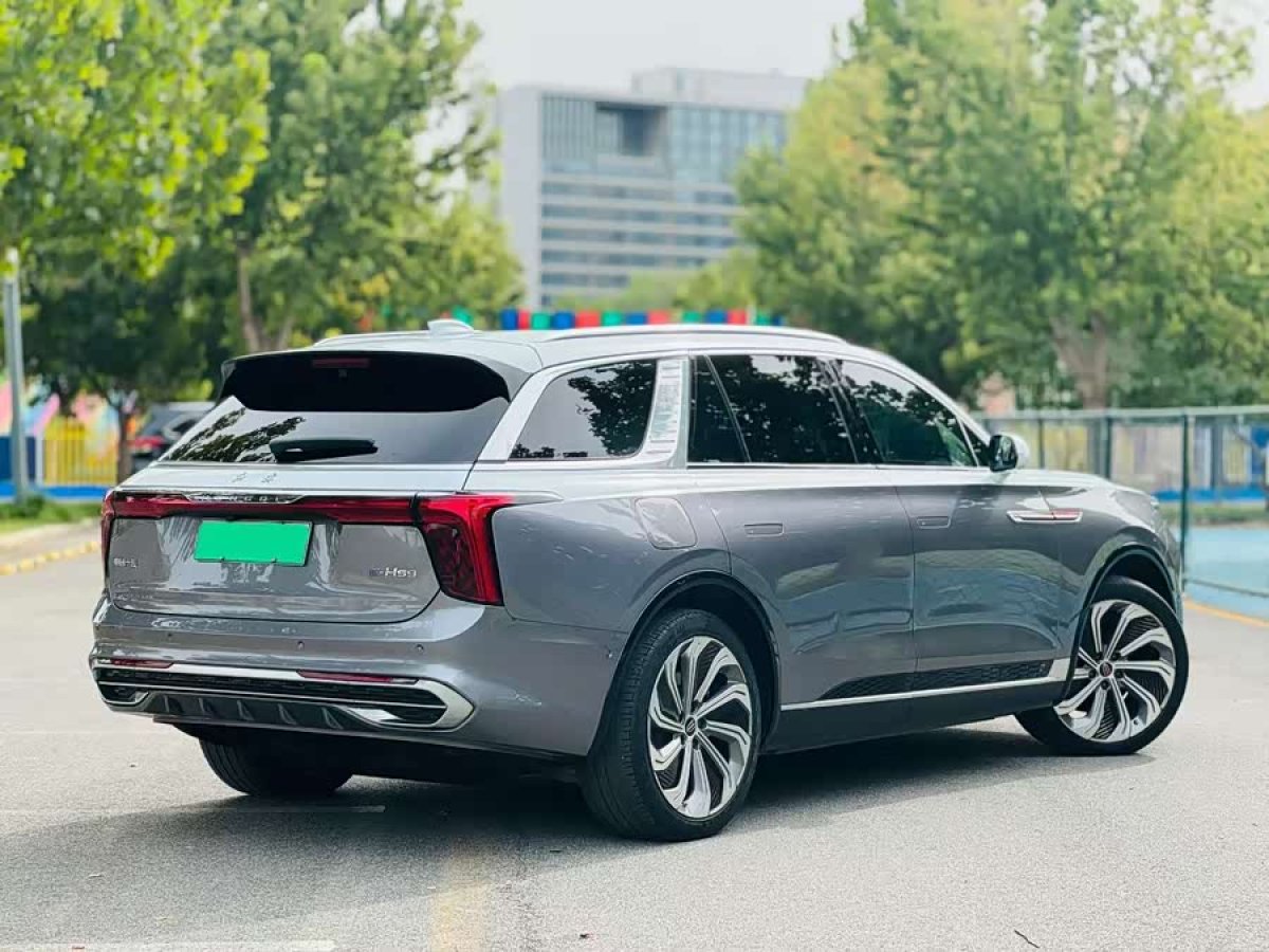 HongQi E-HS9 2020 immagine di auto #4