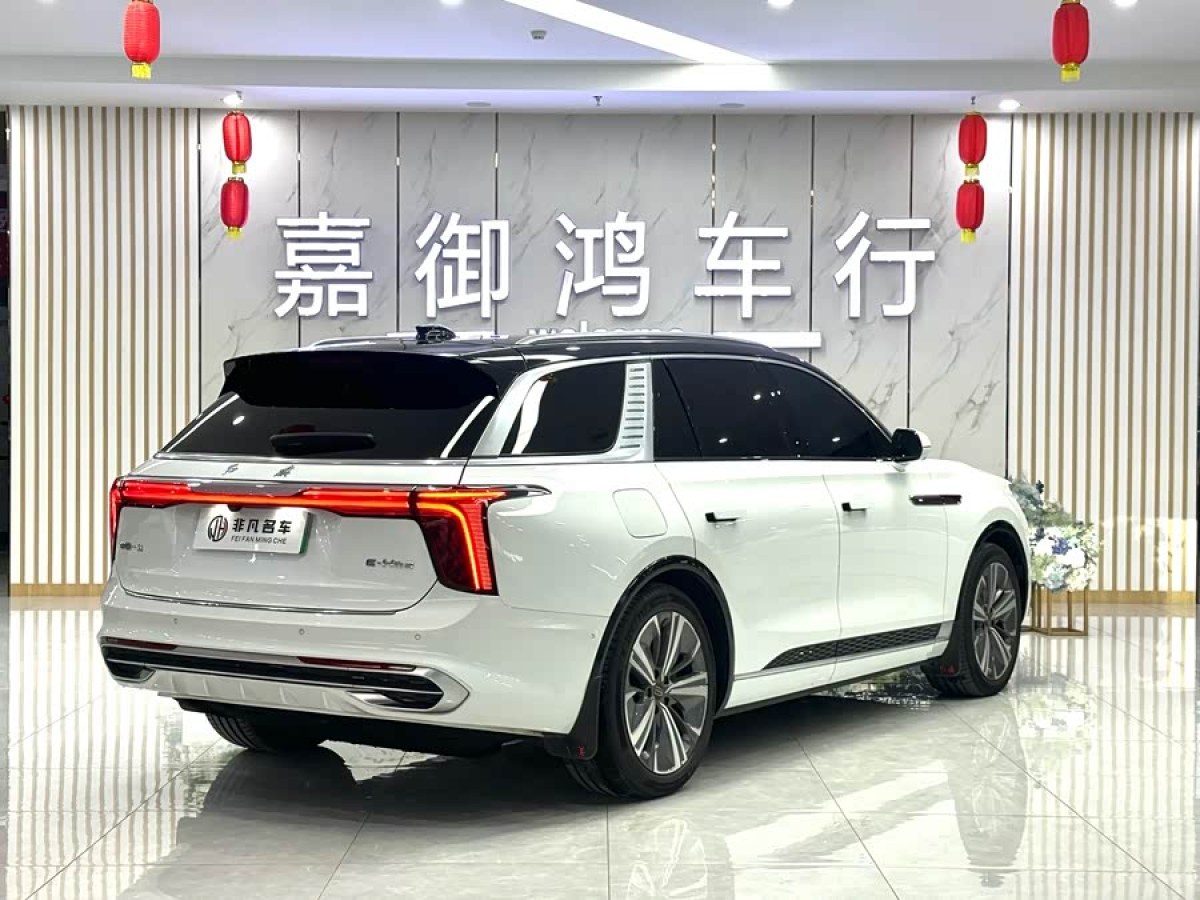 HongQi E-HS9 2021 #4 HongQi E-HS9 2021 immagine di auto #4