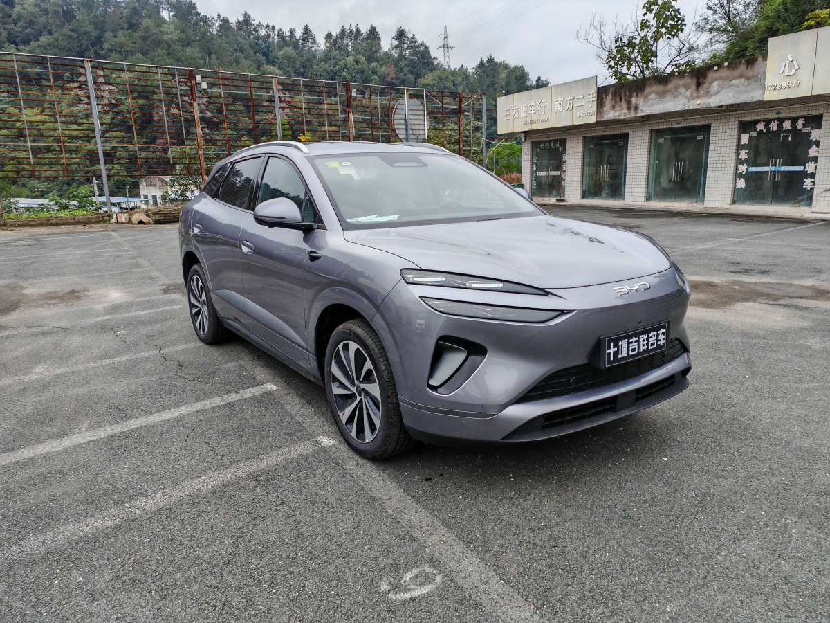 BYD Sea Lion 06 New Energy 2025 car image #4