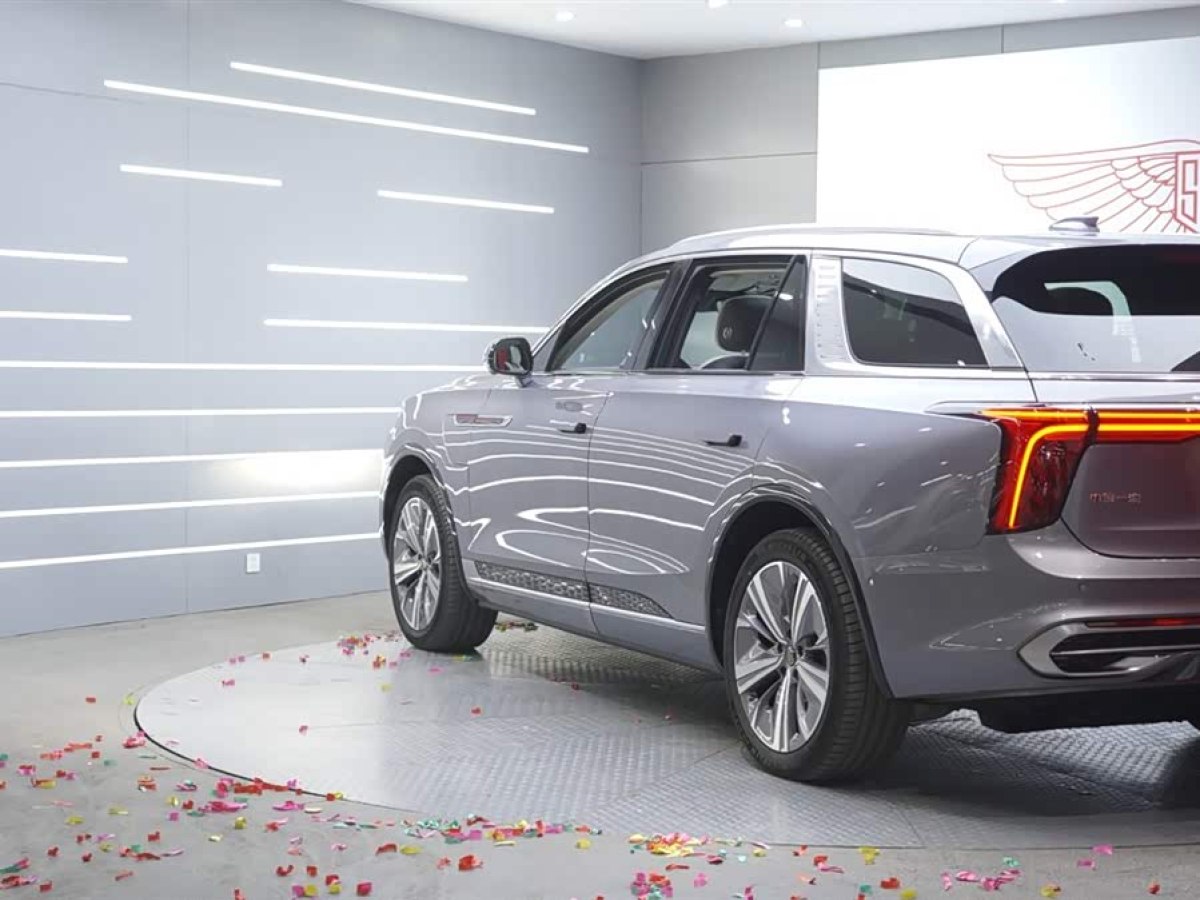 HongQi E-HS9 2023 car image #4