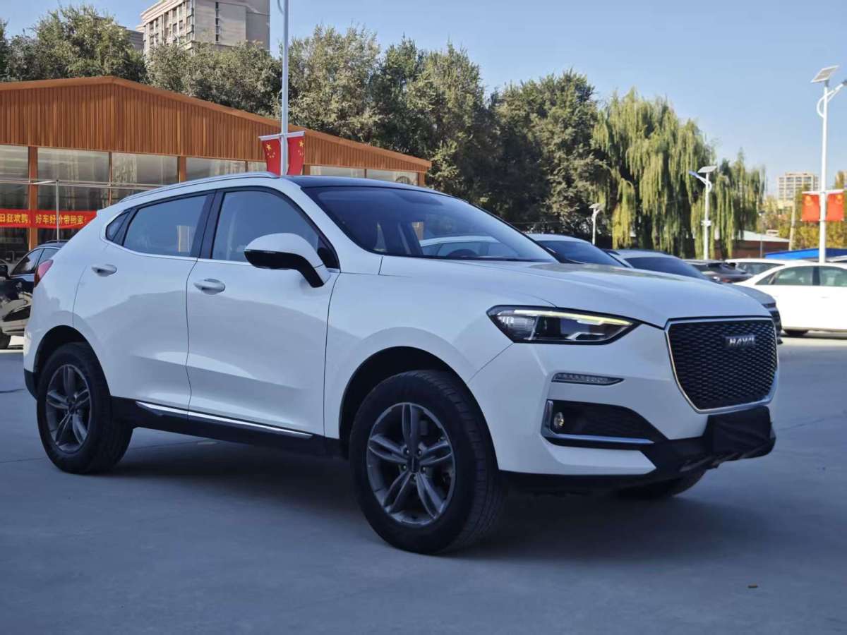 Haval F5 2019 car image #4