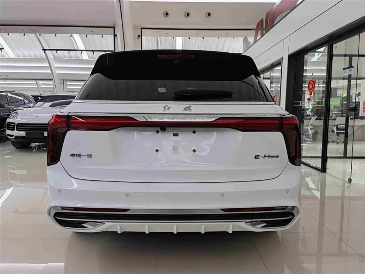 HongQi E-HS9 2021 #4 HongQi E-HS9 2021 immagine di auto #4