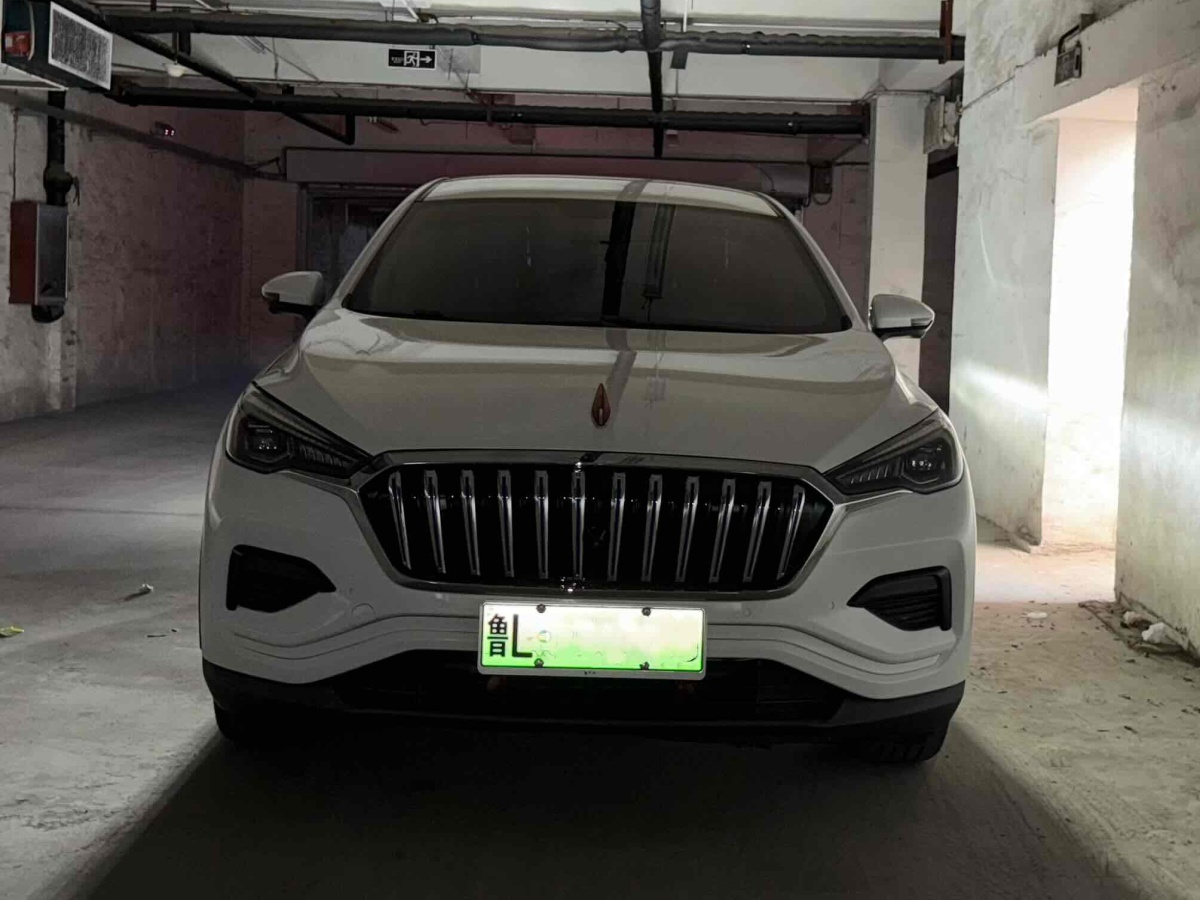 HongQi E-HS3 2020 #4 HongQi E-HS3 2020 immagine di auto #4