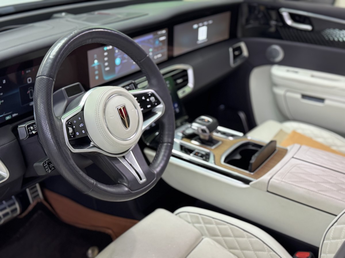 HongQi E-HS9 2021 immagine di auto #4