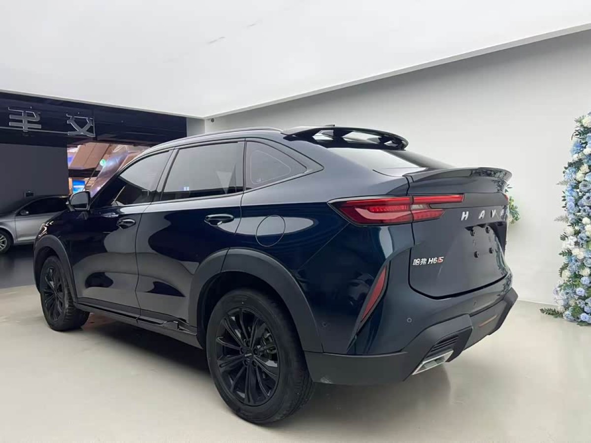 Haval H6S 2022 immagine di auto #4