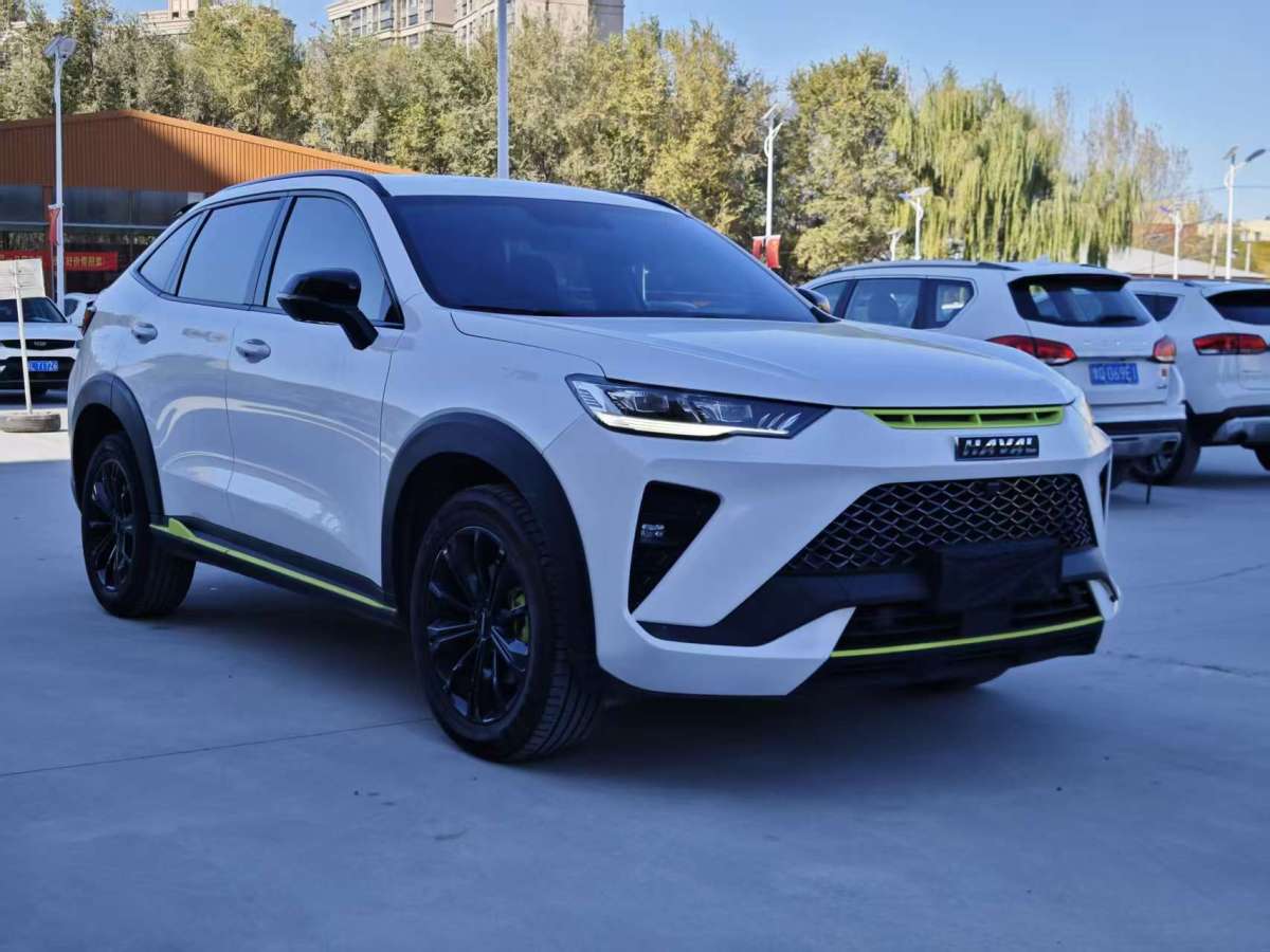 Haval H6S 2022 car image #4