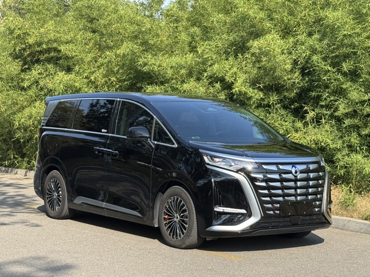 腾势 腾势D9 2024 汽车图片 #4