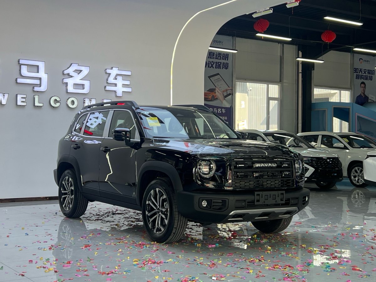 Haval X Dog / Dargo 2025 #4 Haval X Dog / Dargo 2025 car image #4