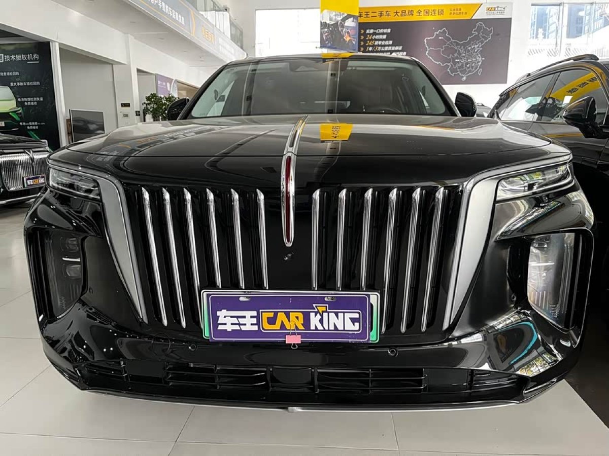HongQi E-HS9 2023 immagine di auto #4