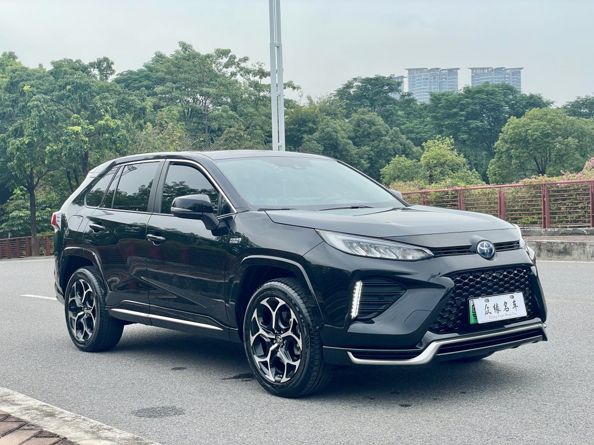 Toyota Wildlander New Energy 2021 immagine di auto #4