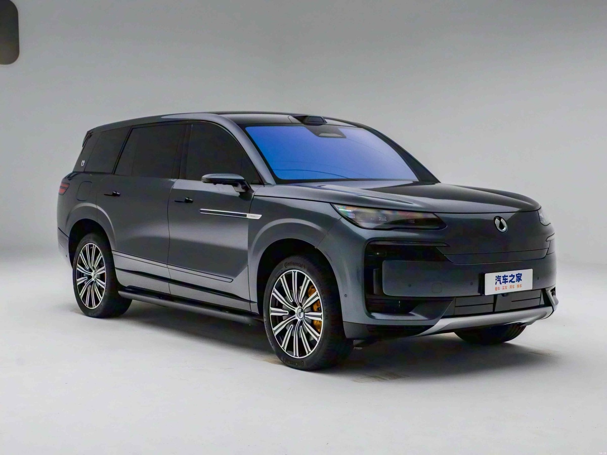 Denza N9 2025 immagine di auto #4