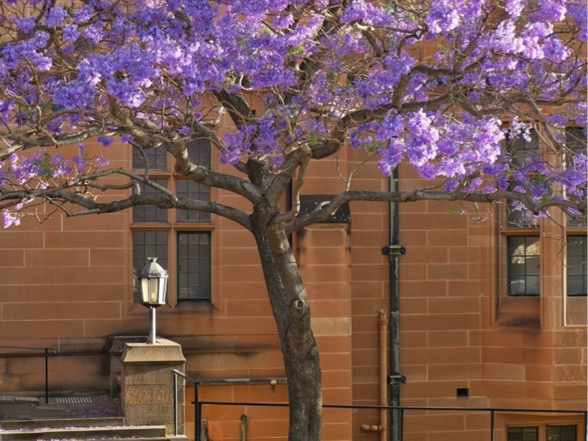 Audi TTS 2013 car image #4