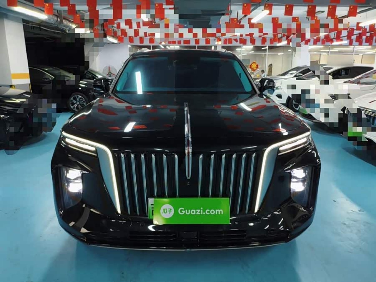 HongQi E-HS9 2023 car image #4