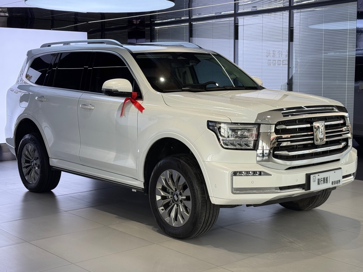 Tank 500 2024 imagen de coche #4