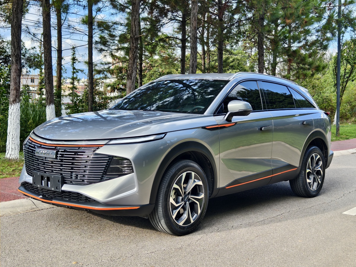 Haval H6 2022 immagine di auto #4