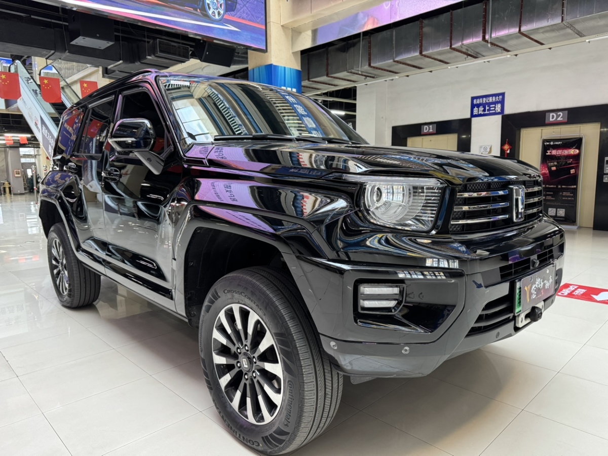 Tank 700 New Energy 2024 immagine di auto #4