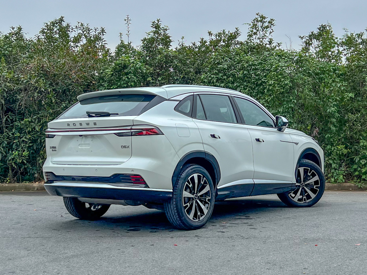 Roewe D5X DMH 2024 imagem de carro #4