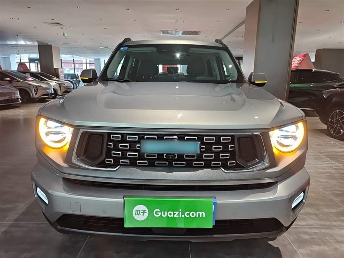 Haval X Dog 2 New Energy 2024 car image #4