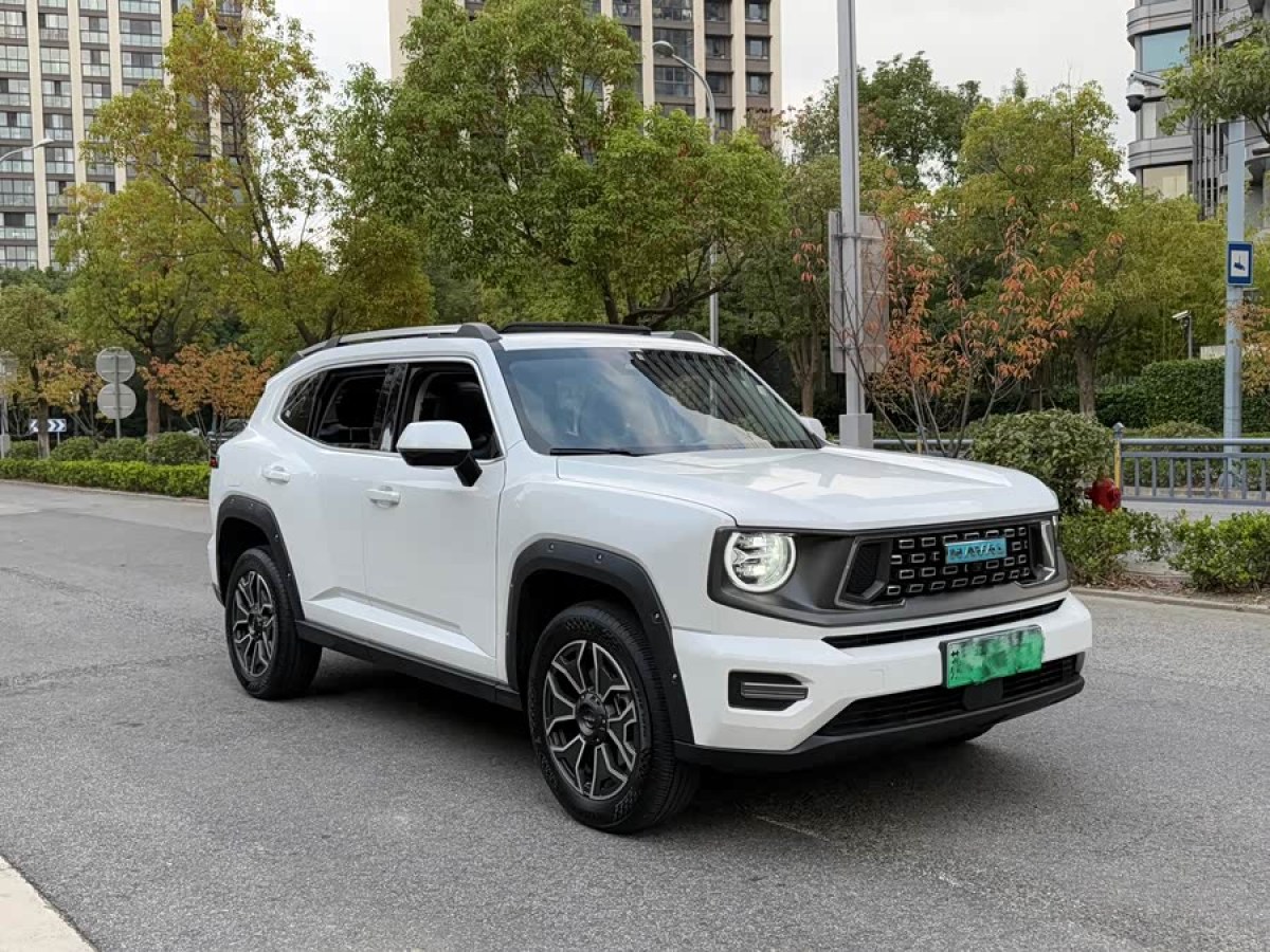 Haval X Dog 2 New Energy 2025 car image #4