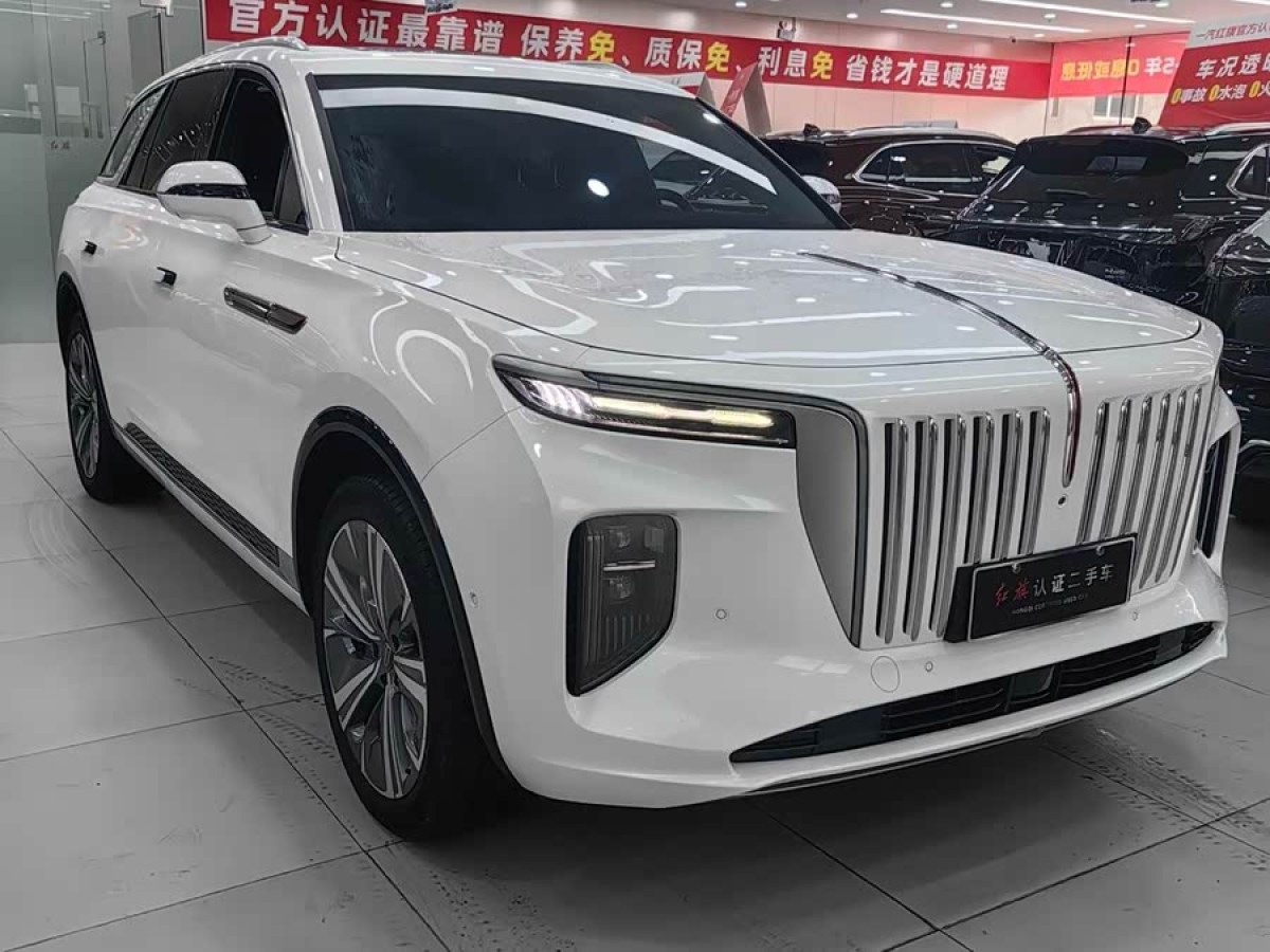 HongQi E-HS9 2023 car image #4