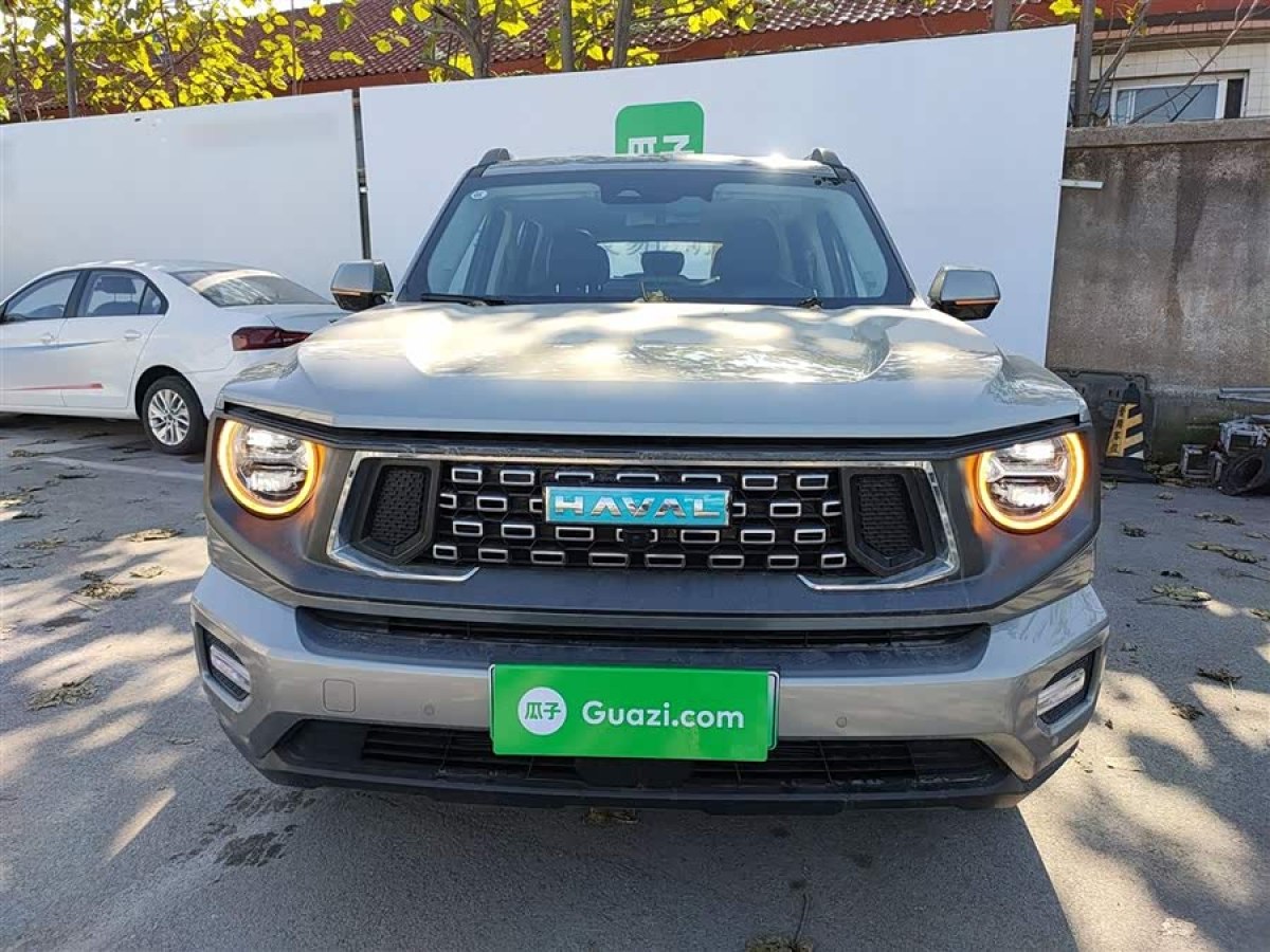 Haval X Dog 2 New Energy 2024 car image #4