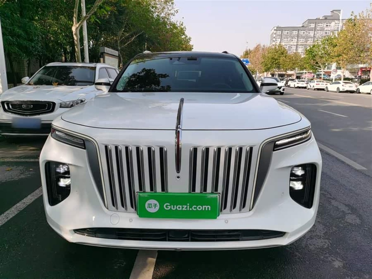 HongQi E-HS9 2023 car image #4