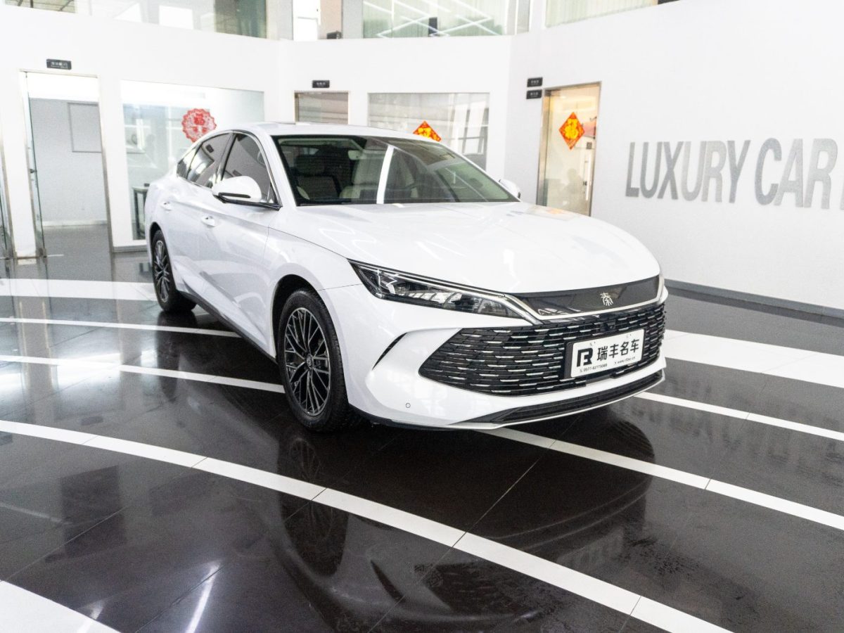 BYD M9 2024 car image #4