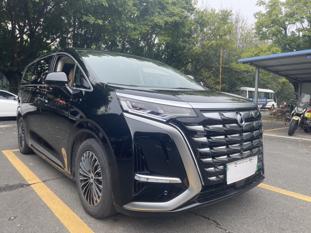 Denza DENZA 2024 car image #4