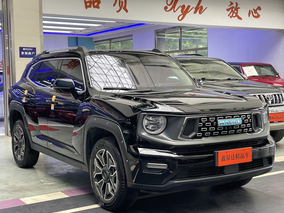 Haval X Dog 2 New Energy 2023 car image #4