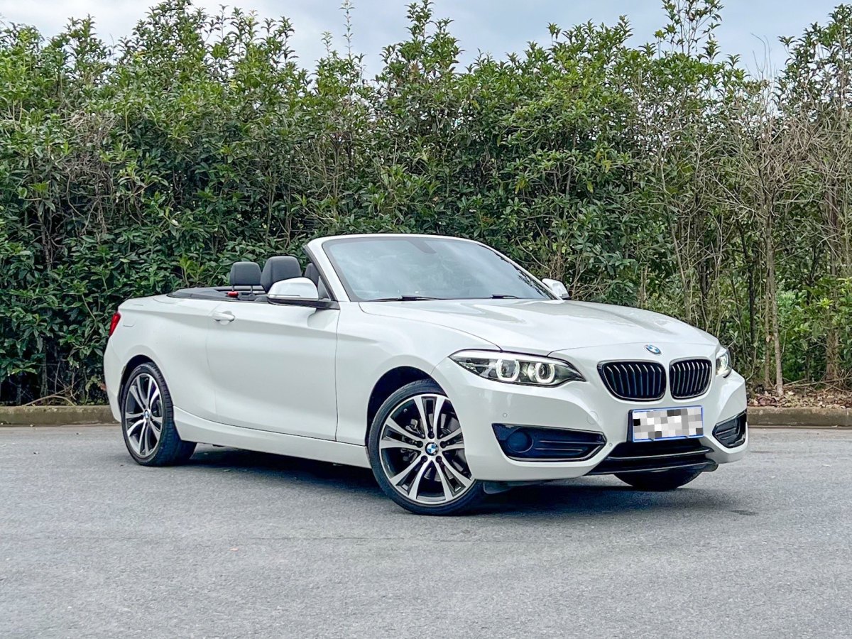 BMW 2 Series 2019 car image #4