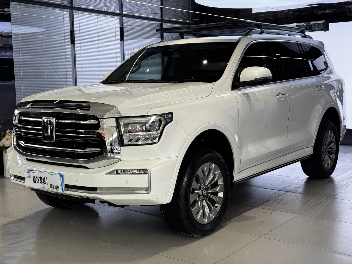 Tank 500 2023 car image #4