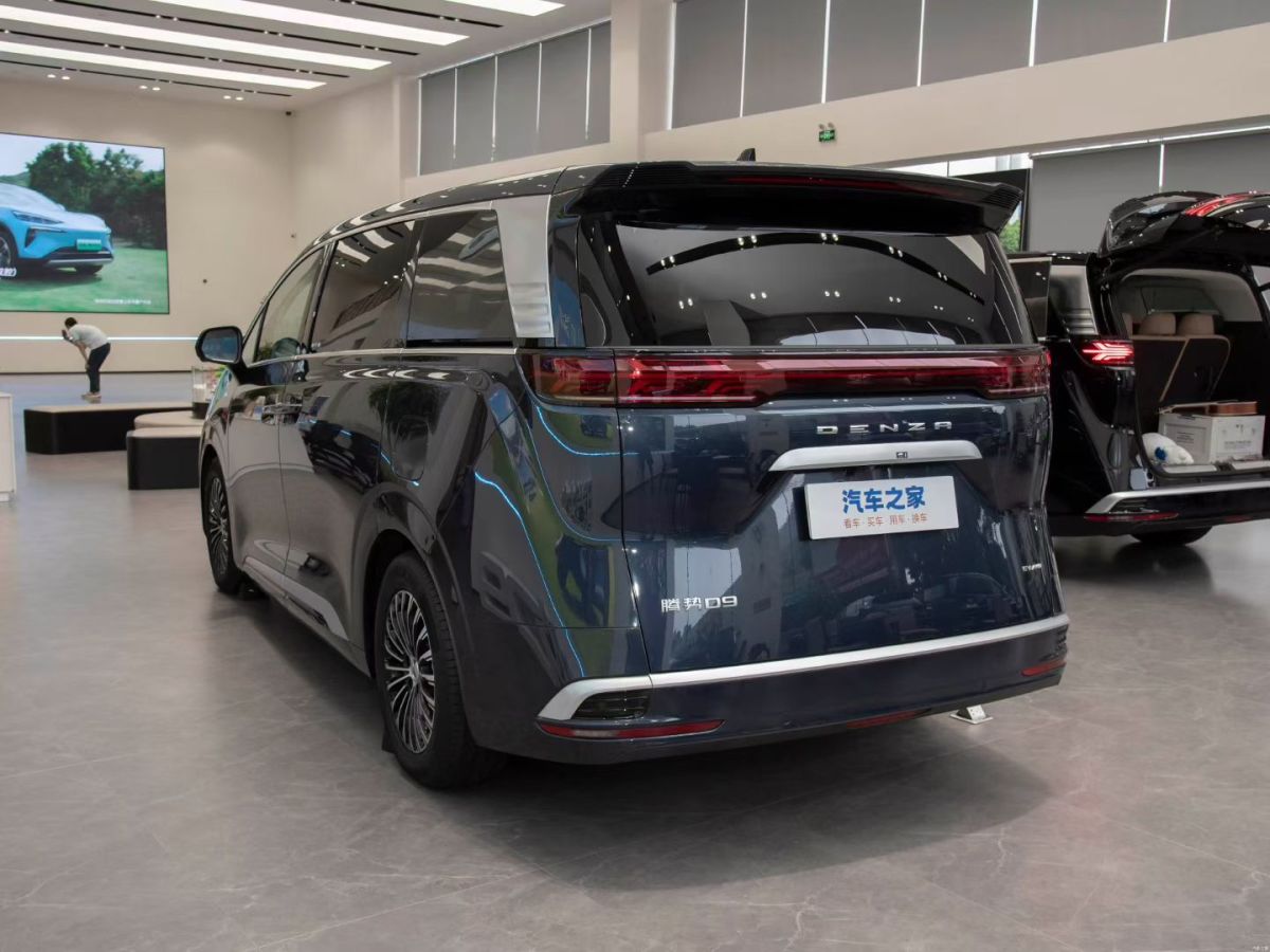 Denza N8L 2024 immagine di auto #4